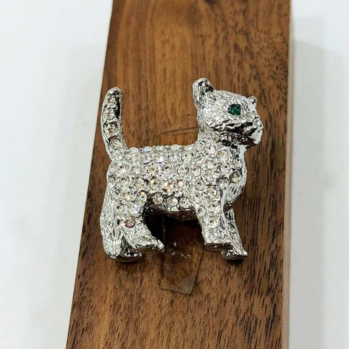 photo_4_2025-11-21_13-54-59