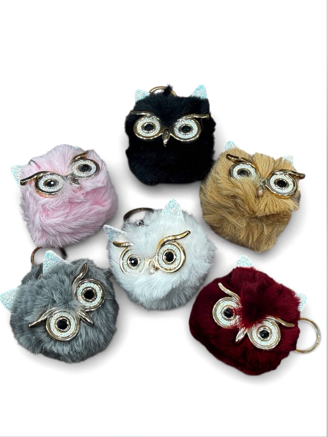 photo_2026-02-03_10-17-12